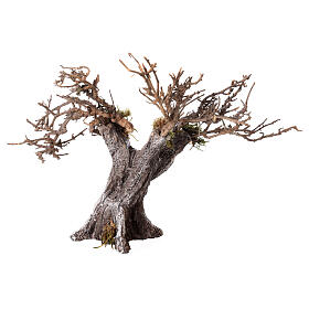 Árbol olivo con ramas secas y musgo belén h 15 cm