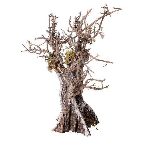 Árbol olivo con ramas secas y musgo belén h 15 cm 3