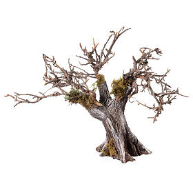 Olivier avec branches séchées et mousse crèche h 15 cm
