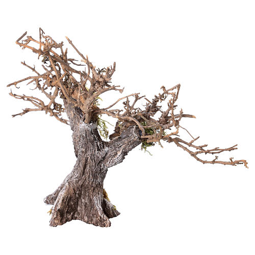 Olivier avec branches séchées et mousse crèche h 15 cm 4