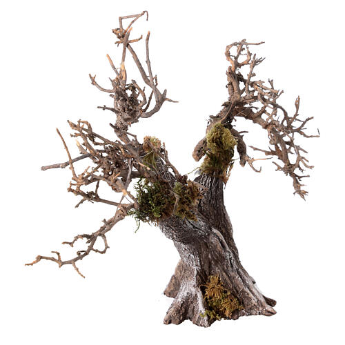 Olivier avec branches séchées et mousse crèche h 15 cm 5