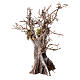 Olivier avec branches séchées et mousse crèche h 15 cm s3