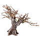 Olivier avec branches séchées et mousse crèche h 15 cm s4