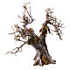 Olivier avec branches séchées et mousse crèche h 15 cm s5
