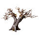 Albero ulivo con rami secchi e muschio presepe h 15 cm s2