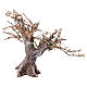 Albero ulivo con rami secchi e muschio presepe h 15 cm s4