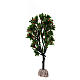 Apple tree h 15 cm for Nativity Scene with 8-10 cm characters s2