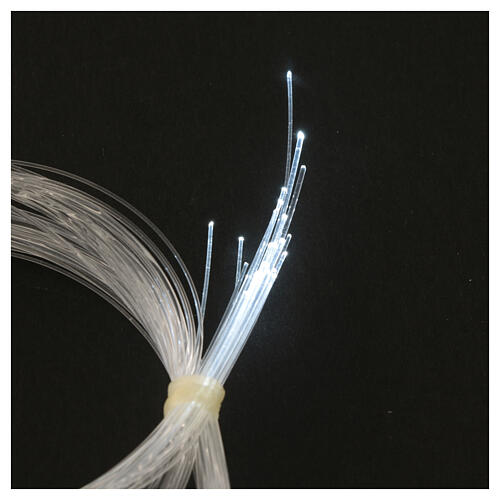 Optical fibre star for Micro Light System 2