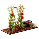 Ambientazione piante pomodoro cassetta presepe 12 cm 10x12x5 cm s3