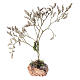 Blühender Baum mit weißen Blüten – Höhe 18 cm, Naturmaterial, Krippenzubehör für 14–16 cm Figuren-Serie s3