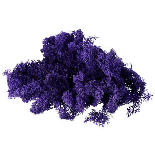 Lichene viola lavanda presepe 90 gr 1
