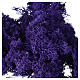 Lichene viola lavanda presepe 90 gr s2