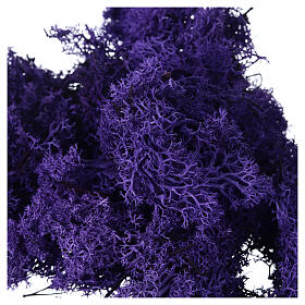 Violet lavender lichen nativity scene 90 gr