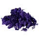 Violet lavender lichen nativity scene 90 gr s1