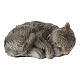 Sleeping cat 1x2 cm resin nativity scene 10 cm s2