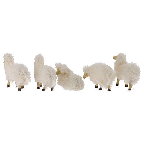 Set of 5 sheeps with wool, h 6 cm, for 10-12 cm Nativity Scene 4