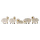 Set of 5 sheeps with wool, h 6 cm, for 10-12 cm Nativity Scene s1