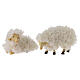 Set of 5 sheeps with wool, h 6 cm, for 10-12 cm Nativity Scene s2