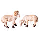 Pecorelle con ambientazione 3 cm per presepe 10-12 cm s5