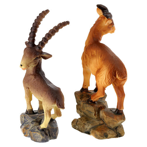 Chamois and ibex, resin, for 12-14 cm average height, 10 cm 4