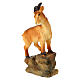 Camoscio e stambecco in resina 10 cm per presepe 12-14 cm s3