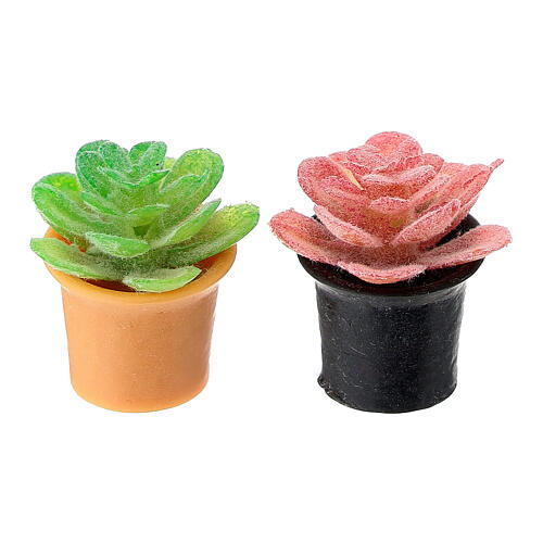 Conjunto 2 plantas 2,5 cm presépio 8-10 cm 1