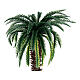 Palm tree with detailed trunk and leaves, h 12 cm, for 8-10 cm Nativity Scene s2