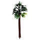 Big palm tree with thin trunk and no base, h 18 cm s1