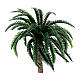 Palm tree 15 cm without base, 12 cm nativity scene s2