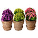 Set 6 vasi in legno con fiori 6x4 cm presepe 12-14 cm s1