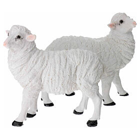 Set of 2 resin sheeps for 35 cm Nativity Scene