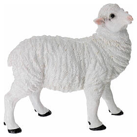 Set of 2 resin sheeps for 35 cm Nativity Scene