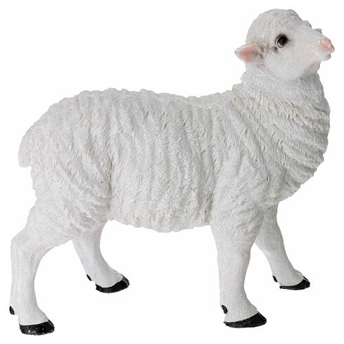Conjunto 2 ovelhas resina presépio 35 cm 2