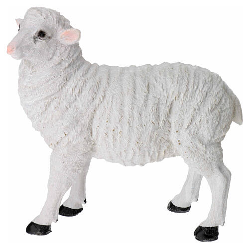 Conjunto 2 ovelhas resina presépio 35 cm 3
