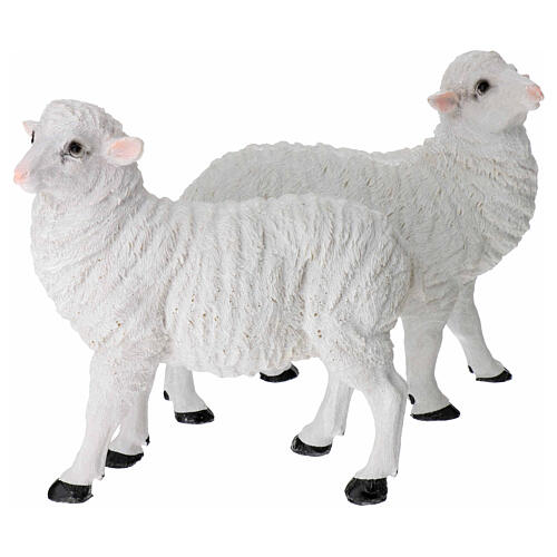 Set of 2 resin sheep nativity scene 35 cm 1