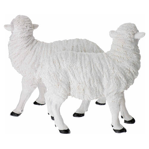 Set of 2 resin sheep nativity scene 35 cm 4