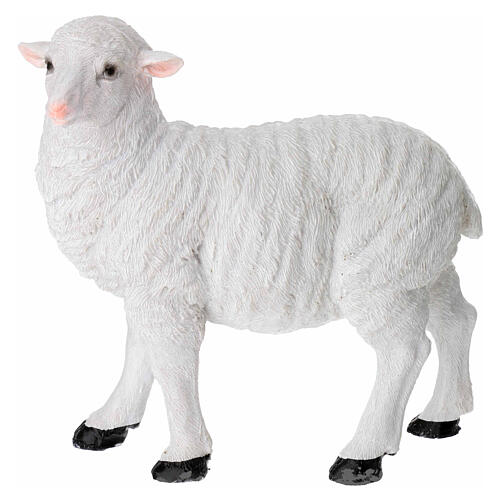 Set of 2 resin sheeps for 24 cm Nativity Scene 3