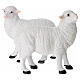 Set of 2 resin sheeps for 24 cm Nativity Scene s1