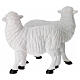 Moutons set 2 pcs pour crèche 24 cm s4