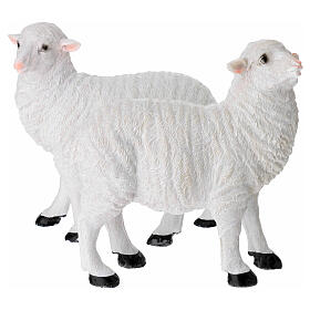 Pecore set 2 pz per presepe 24 cm