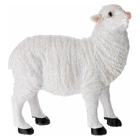 Pecore set 2 pz per presepe 24 cm