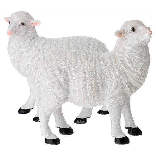 Pecore set 2 pz per presepe 24 cm 1