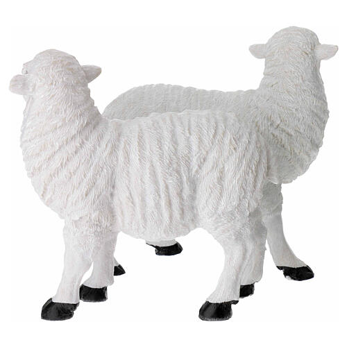 Pair of resin sheep for 24 cm nativity scene 4