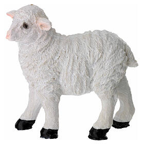 Pecore in resina presepe 18 cm