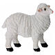 Pecore in resina presepe 18 cm s3