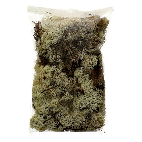 White and brown lichen, 100 g 1