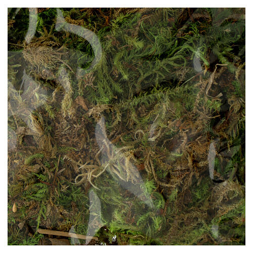 Musgo macio para presépio 30 g 2