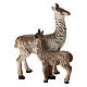 Lama per presepe 8-10 cm Set 2 pz s2