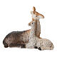 Lama per presepe 8-10 cm Set 2 pz s3