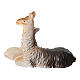 Lama per presepe 8-10 cm Set 2 pz s5
